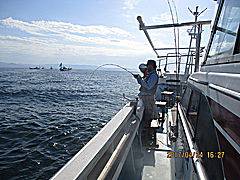 遊漁船 未紗奈 釣果