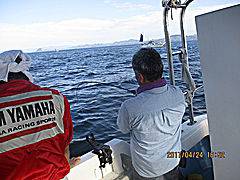 遊漁船 未紗奈 釣果