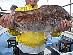 遊漁船 未紗奈 釣果