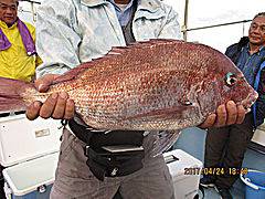 遊漁船 未紗奈 釣果