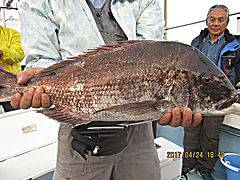 遊漁船 未紗奈 釣果