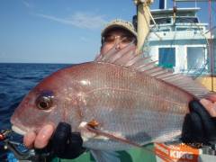 増福丸 釣果