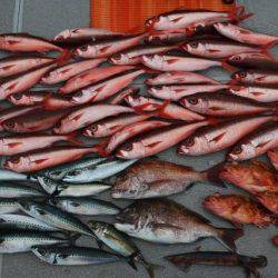 へいみつ丸 釣果