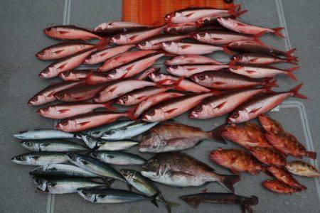 へいみつ丸 釣果