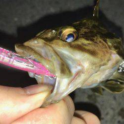 メバル狙うもタケノコ堀