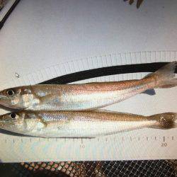 久々の神戸沖防波堤