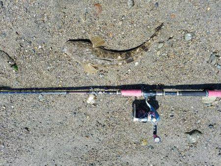 マゴチ釣れたけど・・大事な物を失った