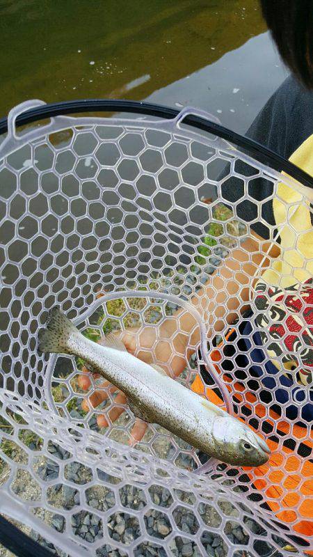 なごみの湖ライトエリア