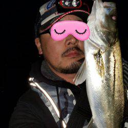 バチシー開催??