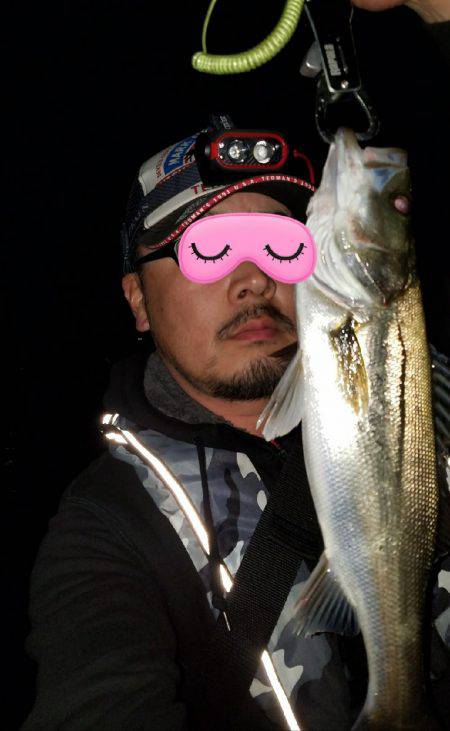 バチシー開催??