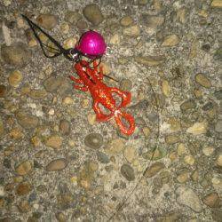 久びさのチニング♪