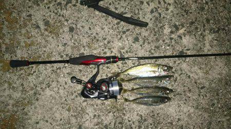 メバリング！ アジング！