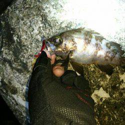 久しぶりの釣行