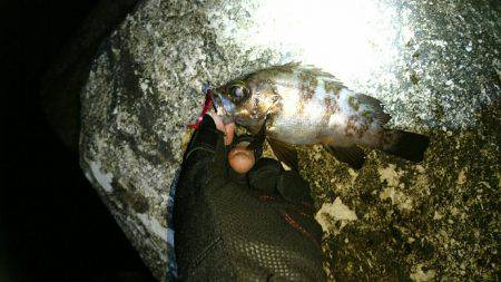 久しぶりの釣行