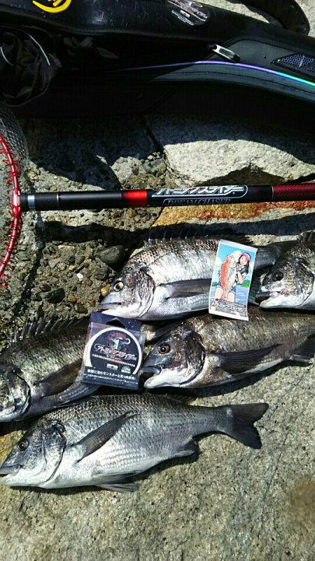 ゆかいな仲間と小豆島釣行