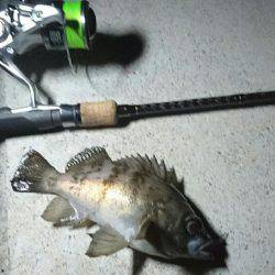 須磨海岸メバリング