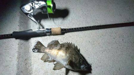 須磨海岸メバリング