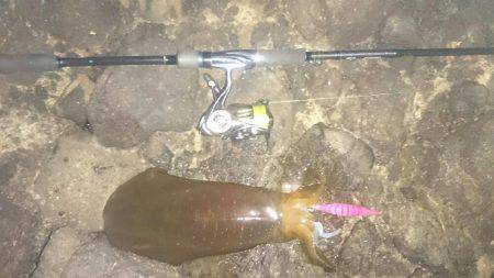 ナイト〜朝マズメエギング