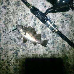 何時になったら？