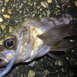 長いのよりも短いの。