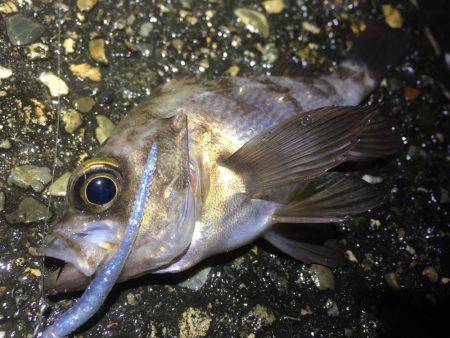 長いのよりも短いの。