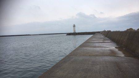 初めての青岸で