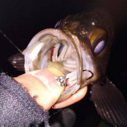 爆風メバリング