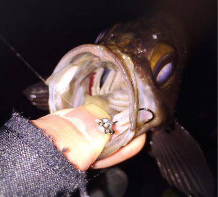 爆風メバリング