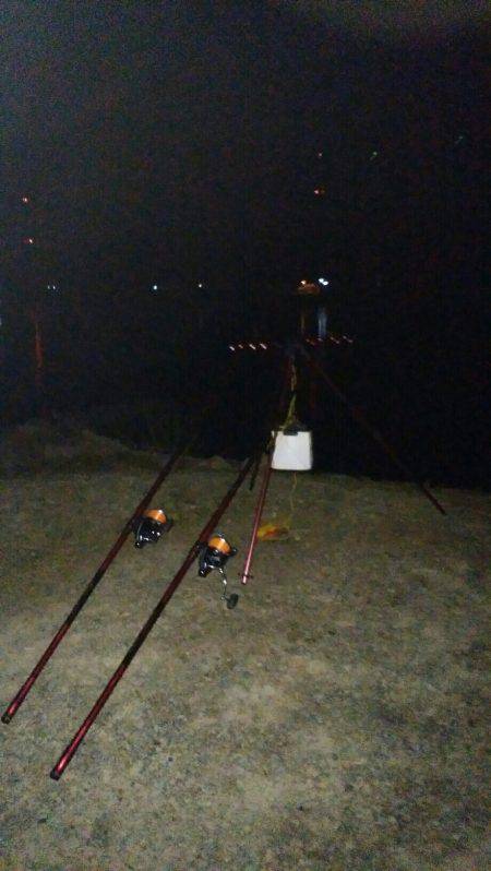 投げ釣り、スズキチャレンジの続き