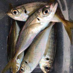 投稿につられて〜