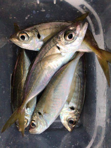 投稿につられて〜