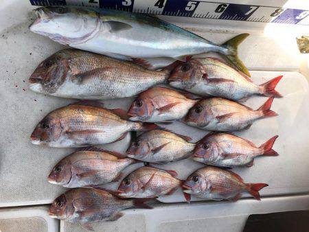 加太釣行いってきました！