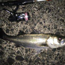 プラッキングで!