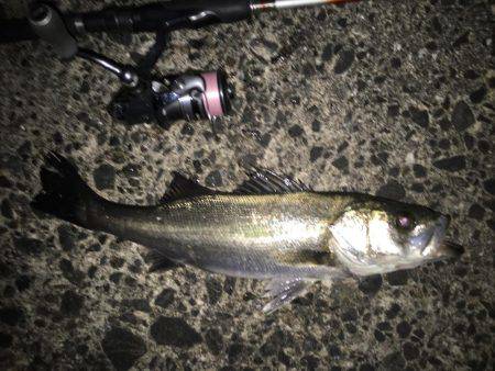 プラッキングで！