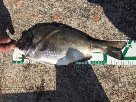 神戸港の沖堤にて