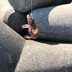 ランガン穴釣り釣行