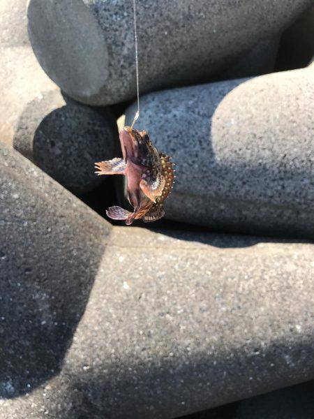 ランガン穴釣り釣行