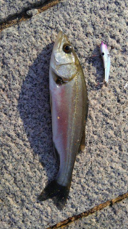 かぶと山公園にて(笑)。