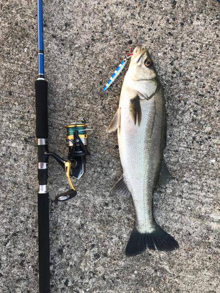 帰省での遠征！