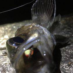 天気の合間を縫って。