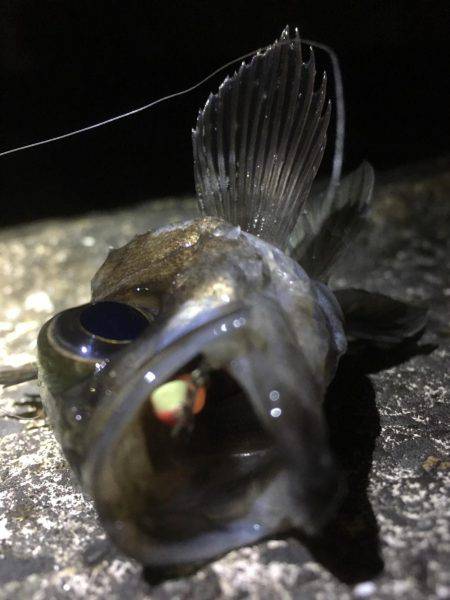 天気の合間を縫って。