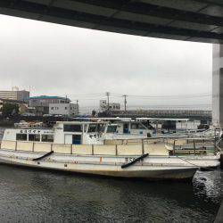 ヤザワ渡船で、ショートルアー便