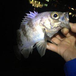 旅行のついでに