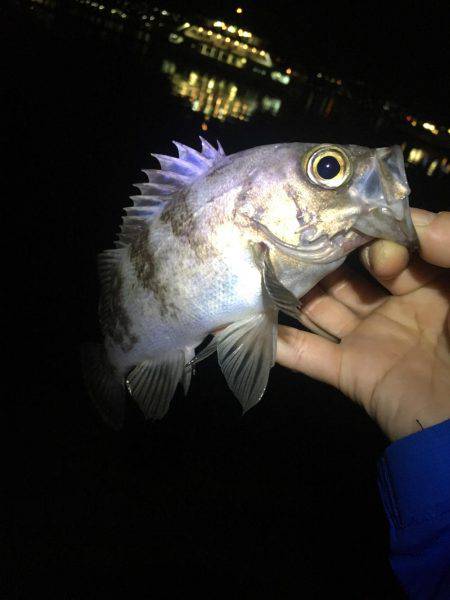 旅行のついでに