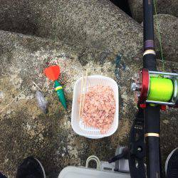 水潮には勝てず