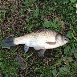 時間が空いたので(^-^)