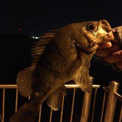 リベンジ成功!!