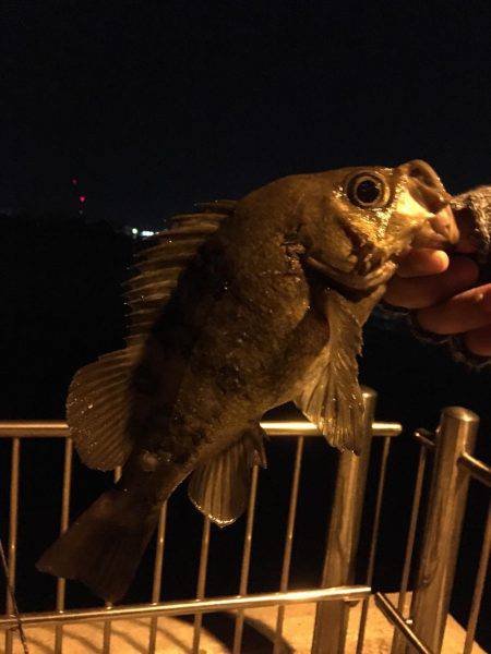 リベンジ成功！！