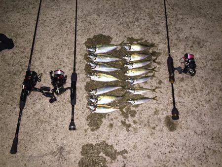 やっぱりアジング