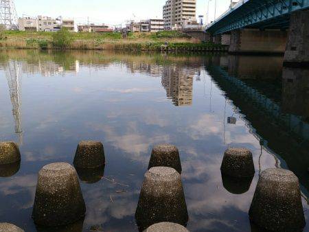 テナガエビ調査釣行in多摩川2